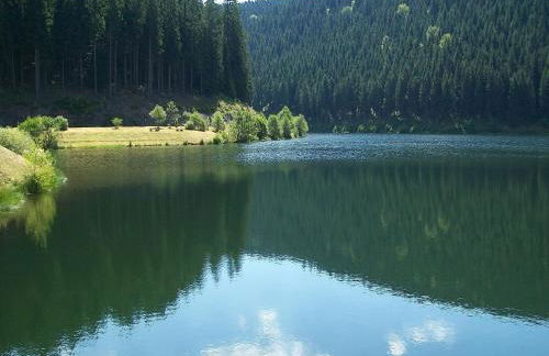 Apartment near Rennsteig - Photo 31