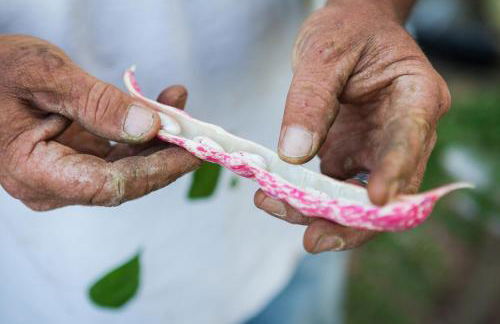 Montanema Handmade Village - Photo 151