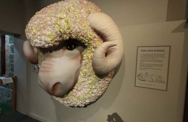 Visite guidée dans Geelong - Photo 1