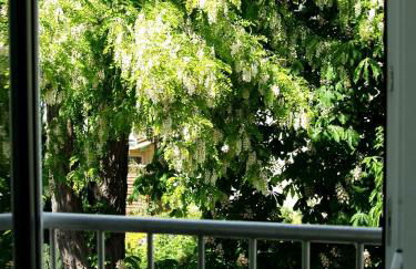 Alte Stadtmauer - Apartment - Foto 25