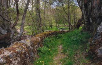 Casa Rural Entre Valles - Foto 13