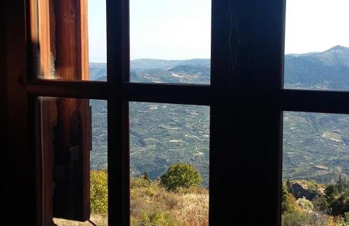 Arli House - Photo 9