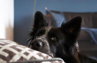 Ferienhaus Taubenhof - Foto 24