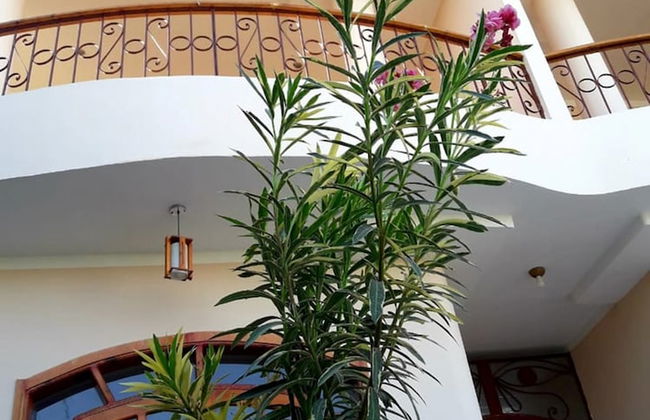 Luxor Plaza House - Foto 17