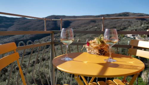 Agriturismo Il nido tra gli ulivi - Foto 2