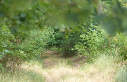 Jagdhaus Franz - Photo 14