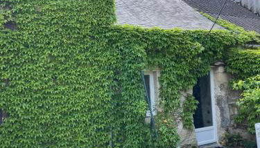 Saumur Loire chambres et gite - Foto 2