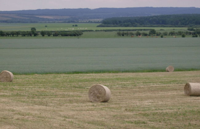 Quaint Holiday Home in Beauraing Belgium With Private Garden - Foto 26
