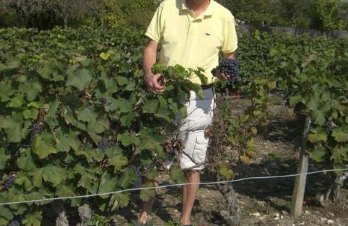 Demeure de caractère avec charme ancien et modernité contemporaine - FR-1-491-347 - Foto 32