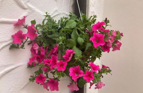 Casa mosaico IUN R9770 - Foto 10