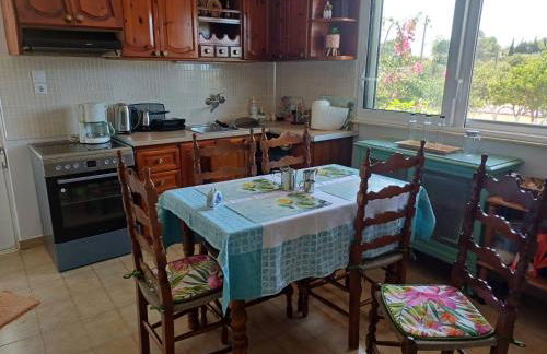 Sofia's Yard House - Foto 17