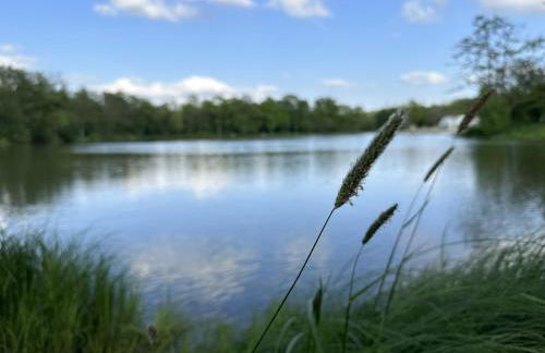 Schönes Ferienhaus 400m vom See, Sauna, Kamin, Klima, Garten - Foto 40