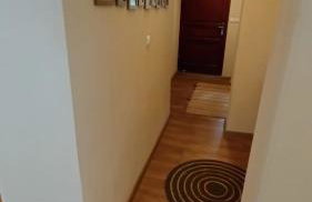 Świerkowe Ranczo Raciszewo - Foto 10