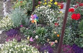 Apartments Žegarac House - Foto 33