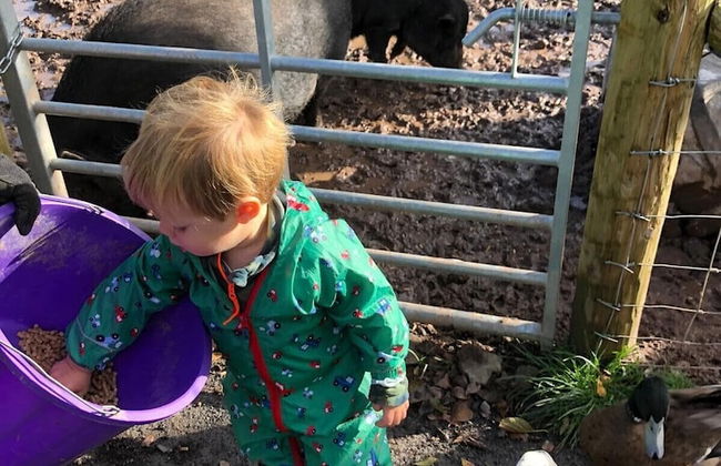 Hawthorn Cottage - Foto 44