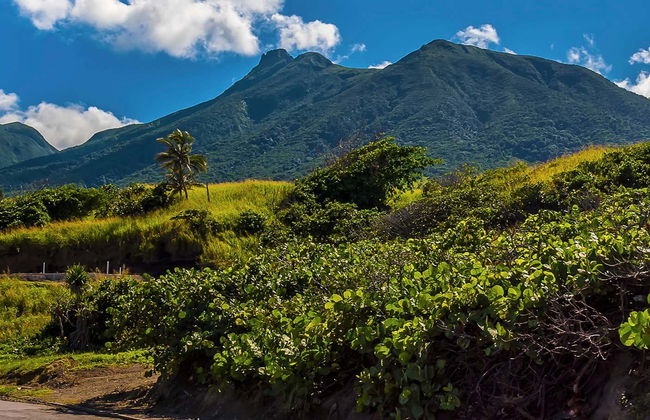Liamuiga Volcano Hiking Activity - Photo 1