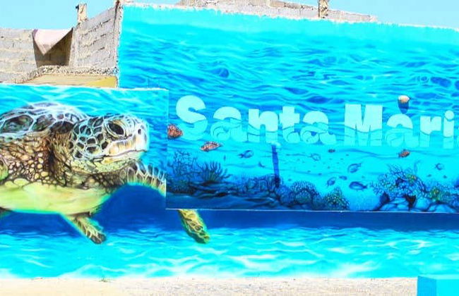 Tour of Santa Maria - Photo 8