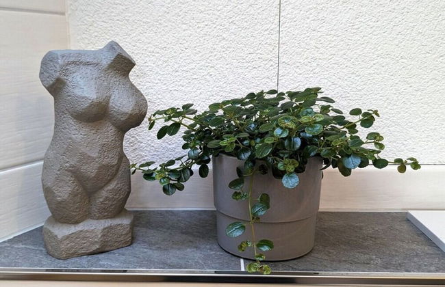 Old Forge Modern Retreat - Foto 37