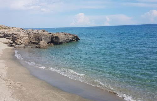 Le Clos des Arbousiers - Foto 57