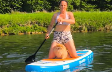 Tournesol Gîte Charmant en Pleine Nature pour 6 Personnes - Foto 10