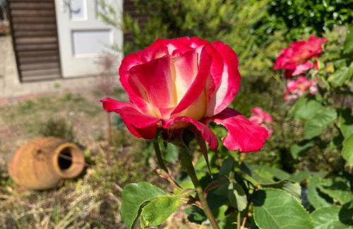 Hireu's Hus - Foto 49