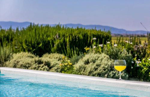 Comporta - Wood & Blue - Foto 14