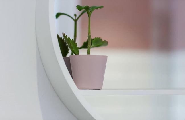 Shorebreak - Bracklesham Bay Apartment - Foto 21