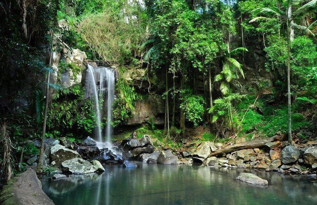 Shambala Estate - Photo 28