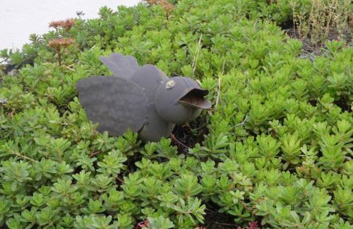 Ferienwohnungen Haus Leonore - Foto 8