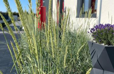 Loox Ostrovo- Boutique House-noclegi nad morzem - Foto 35