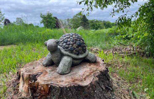 Peaceful Meadow Retreat - Foto 12