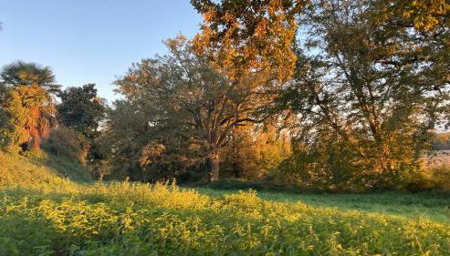 Métairie de Moutiques - Photo 2