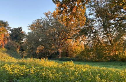 Métairie de Moutiques - Photo 2
