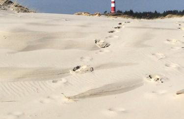 Ferienwohnung *Meeresleuchten* - Foto 16