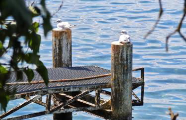 Un Coin De Gîtes - Foto 58