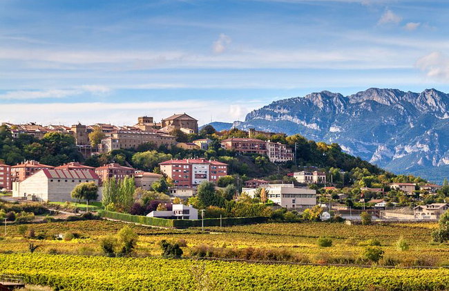 Excursion d'une journée à Vitoria, La Rioja et visite d'un domaine viticole à Laguardia au départ de Bilbao - Photo 1
