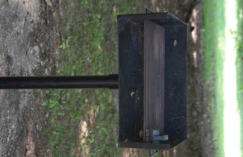 Pine Song Retreat - Foto 25