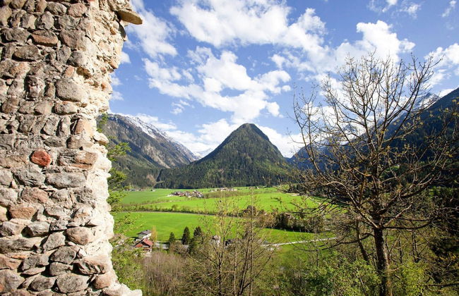 Apartment in Hohe Tauern Near Wildkogel Arena - Foto 7