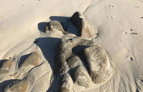 Maison du Domaine de la Pointe - Foto 41