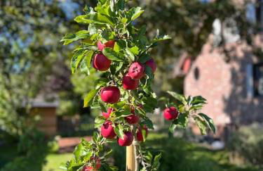 Ferienwohnung Hohes Venn - Foto 8