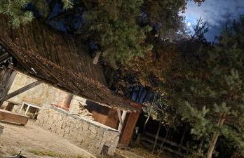 Ostoja Będzyn- Wypoczynek nad Pilicą - Foto 50