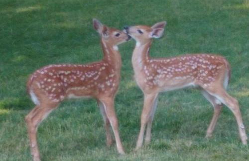 Hot Tub-Mountain View-Secluded-Entire Private Floor - Foto 7