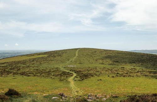 Cosy 2 bed cottage on Dartmoor , Near Ivybridge - Foto 22