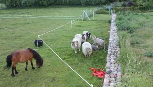 Landhaus Damerow 1 - Foto 3