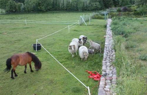 Landhaus Damerow 1 - Foto 3