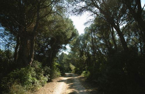 MASIA BARTOMEU Rural house between vineyards 2km from the beach - Foto 28