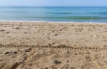 Casona La Familia en Vejer - Foto 44