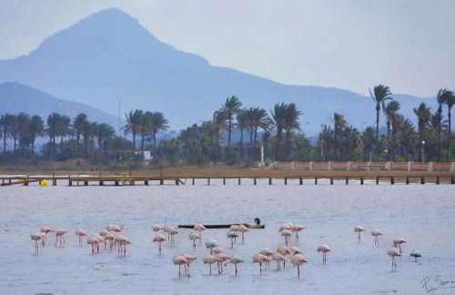 Beachfront House sea views near historic Cartagena - Foto 63