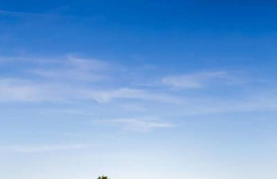 Finca Marañuela - Foto 3