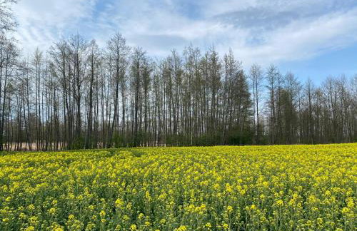 Srokowski Dwór 1 - Stara Kuźnia - Prywatna Sauna ! - Foto 35